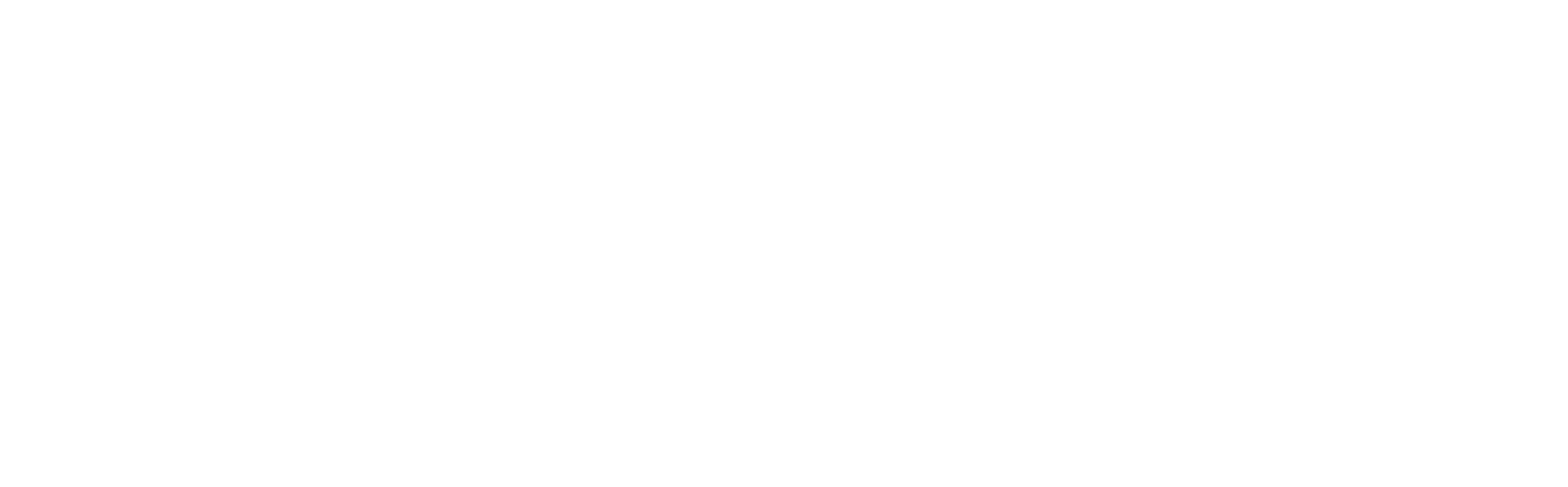 Pro-Projekt_vit